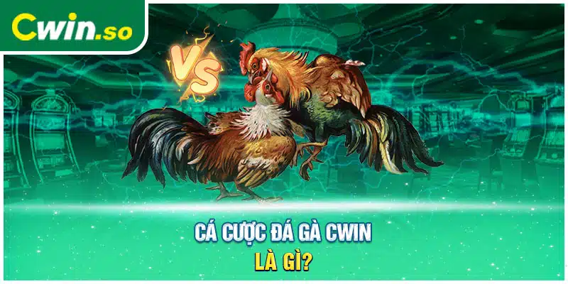 Cá cược đá gà CWIN là gì?