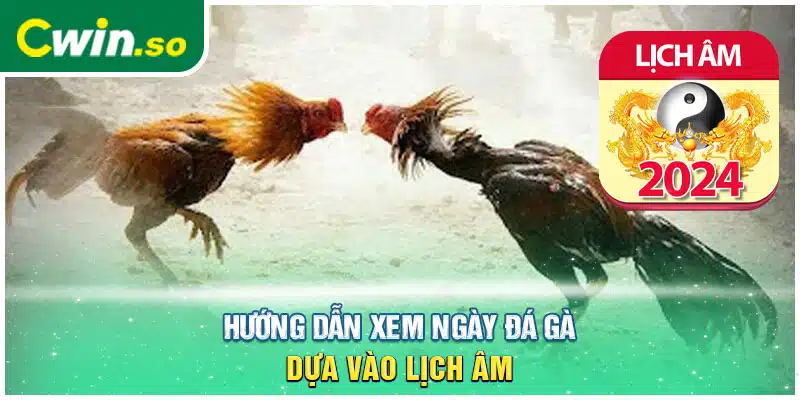 Hướng dẫn xem ngày đá gà dựa vào lịch âm